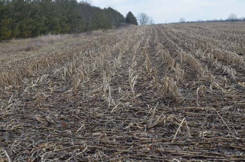 Property photo 36 - 98+/- Acres Offered in 6 Tracts or Combinations, Noble County, Indiana Farm